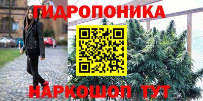 ПСИЛОЦИБИНОВЫЕ ГРИБЫ Краснодар