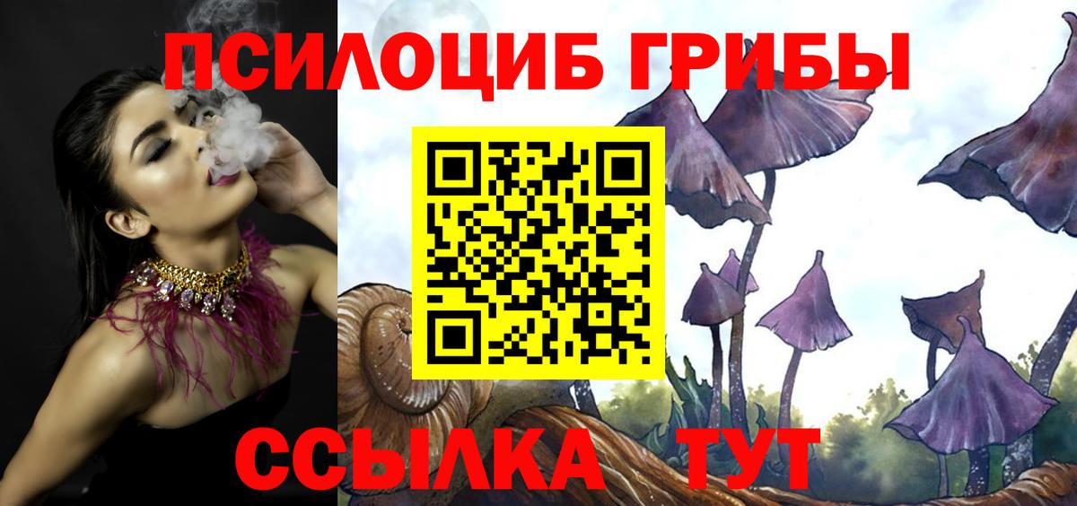 где купить наркоту  Галлюциногенные грибы Cubensis  Вход с VPN  Южноуральск  Галлюциногенные грибы Psilocybine cubensis 